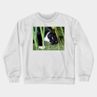 Cat Crewneck Sweatshirt